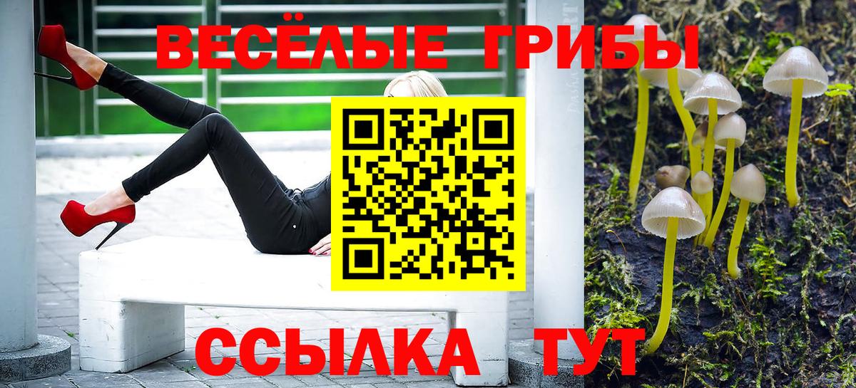 Галлюциногенные грибы мицелий Краснознаменск