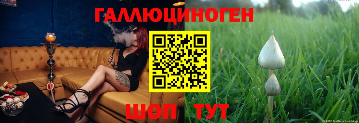Псилоцибиновые грибы ЛСД  Вход с VPN  Краснознаменск 